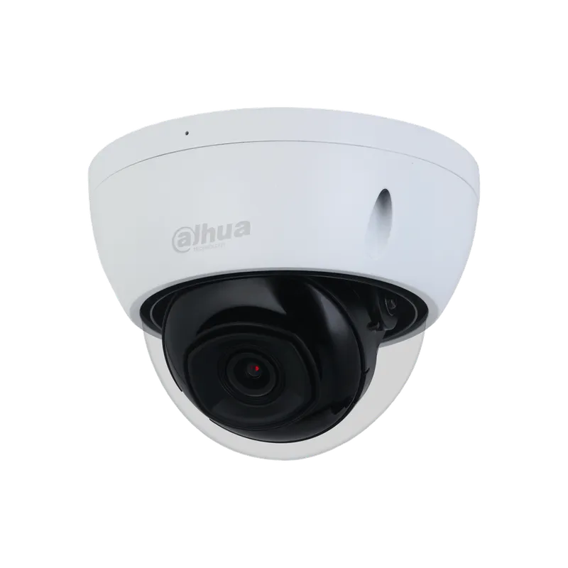 Camara IP Domo 5MP lente fijo 3.6mm Ir30m IP67 con Perimetral protection DH-IPC-HDBW2541EP-S-0360B.