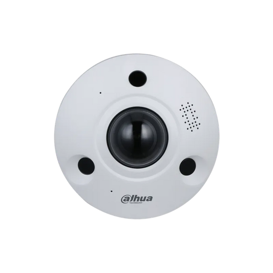 Cámara ojo de pez de 8MP IR 10m IP67 IK10 DH-IPC-EBW8842P-AS.
